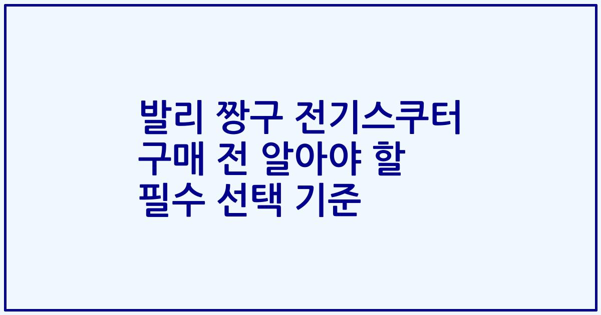 발리 짱구 전기스쿠터 구매 전 알아야 할 필수 선택 기준